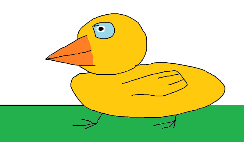 Czy jesteś Ptakoludem?