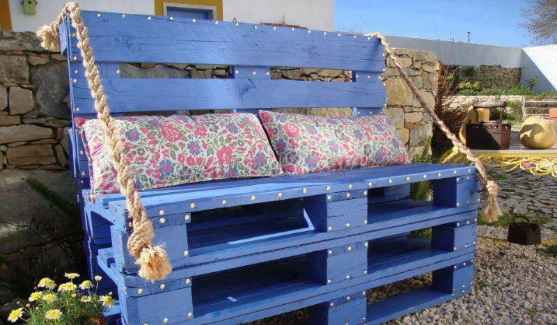 Jaką rase psa powinnaś mieć?