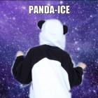 panda-ice