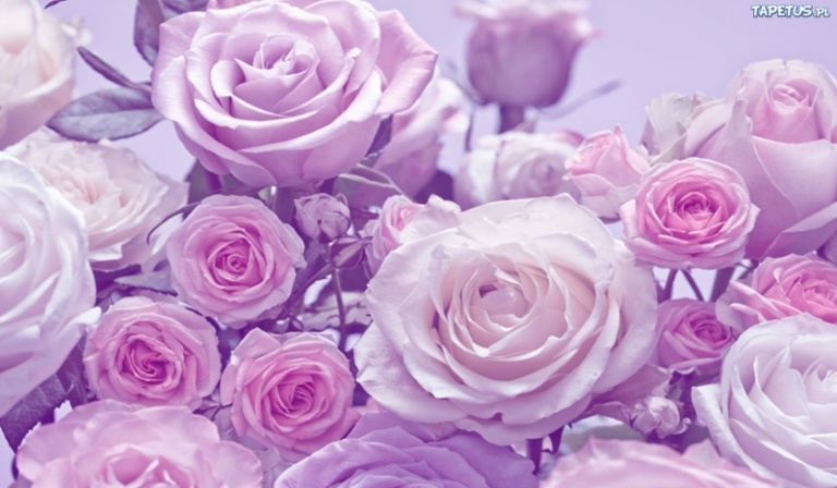 Który kwiat do ciebie pasuję???