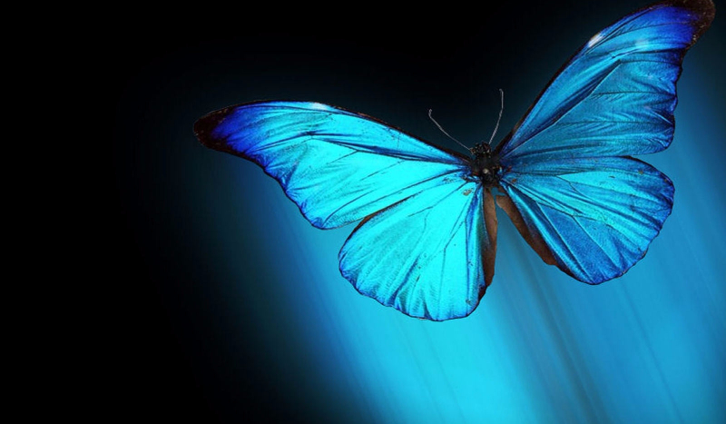 Jaki kolor ma twoja osobowowość