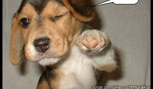 Najlepsza ouizowa dziewczynka