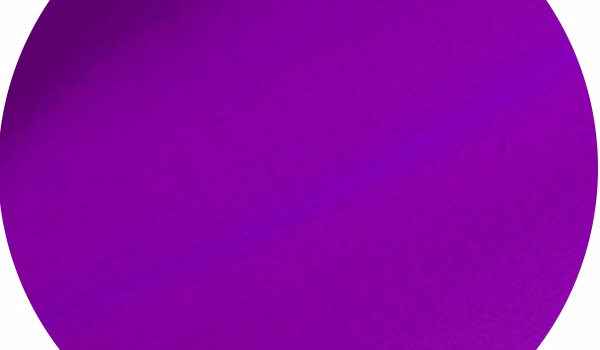 czy rozpoznasz rasy psów