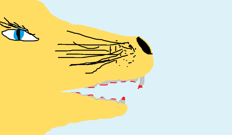 test z lektury ,,narnia” {łatwty}