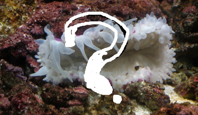 Jak potoczy się twoje życie?