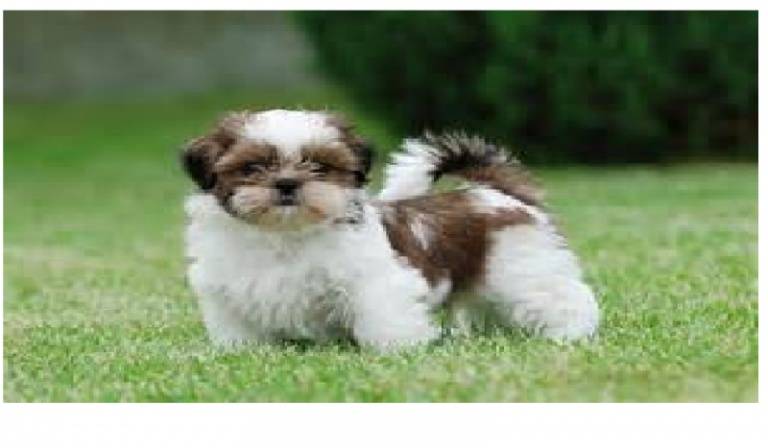 5 pytań z serii co wolisz