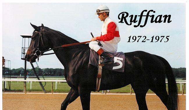 Jakim jeźdźcem jesteś?