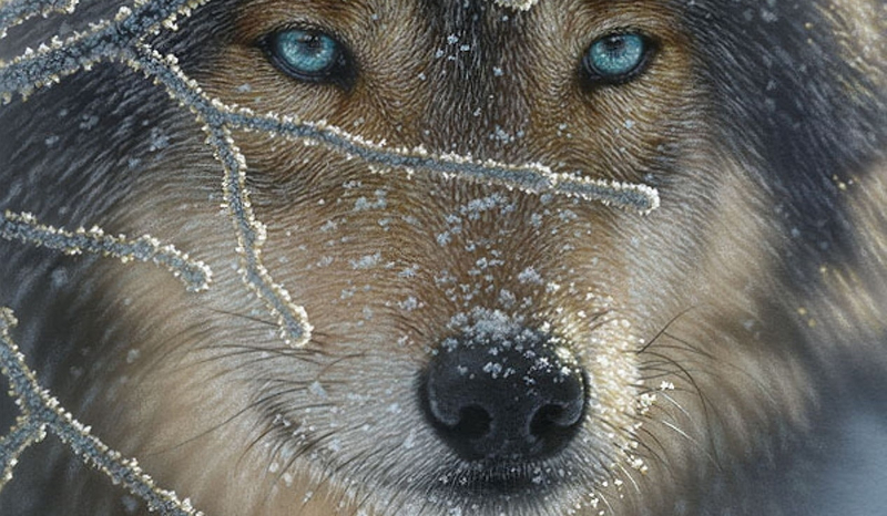 Jaki Jest Twój Wewnętrzyny Wilk ?