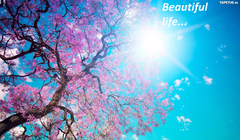 Beautiful life… -#1- Wyjątkowy dzień.