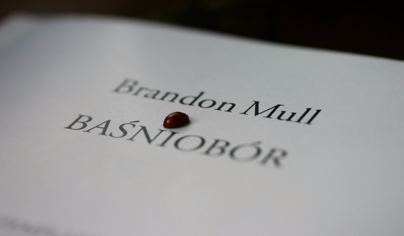 Baśniobór – czy znasz tę książkę?