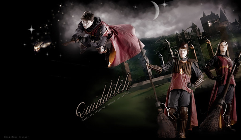 Czy jesteś prawdziwym znawcą Quidditcha ?