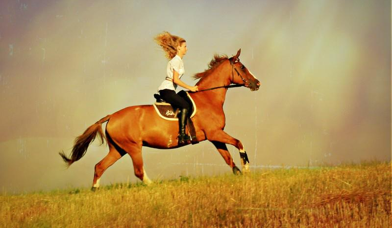 Jeździectwo – pasja na całe życie…#1