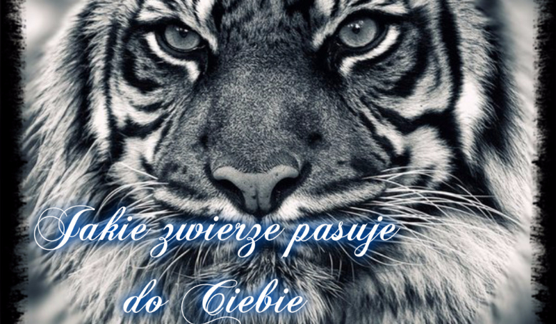 Jakie zwierzę pasuje do Ciebie