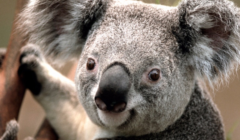 Jak mnie dobrze znasz????