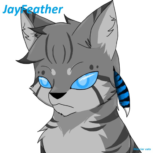 jayfeather