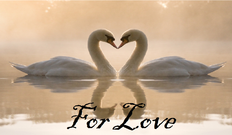 For Love #3