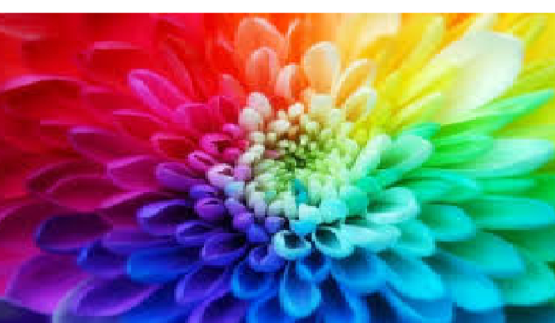 Jaki do ciebie pasuje kolor ?