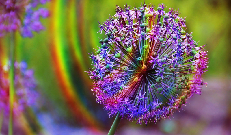 Jaki kolor do ciebie pasuje.