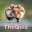 TheQuiz