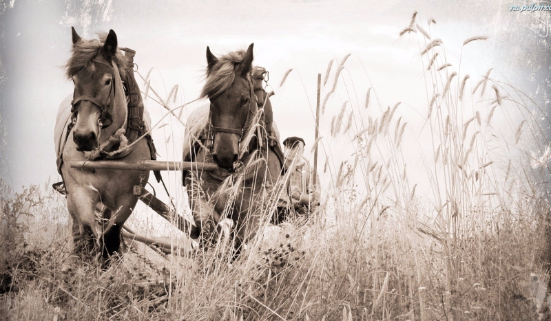 Koszmarna ucieczka #1