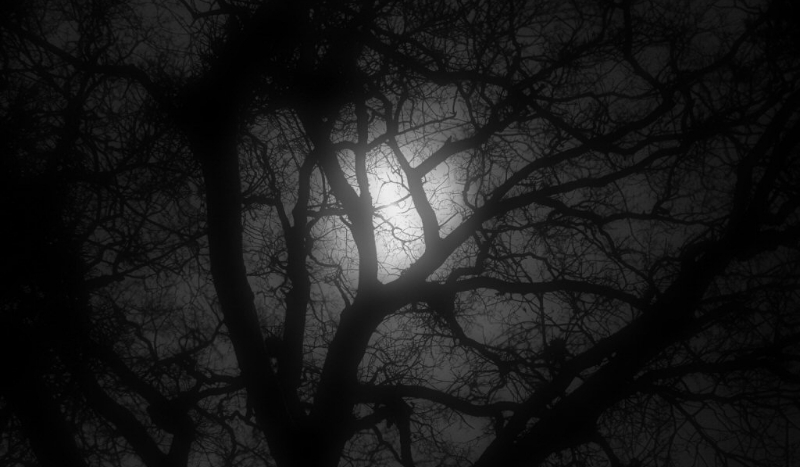 Ciepła krew poleje się strugami #2