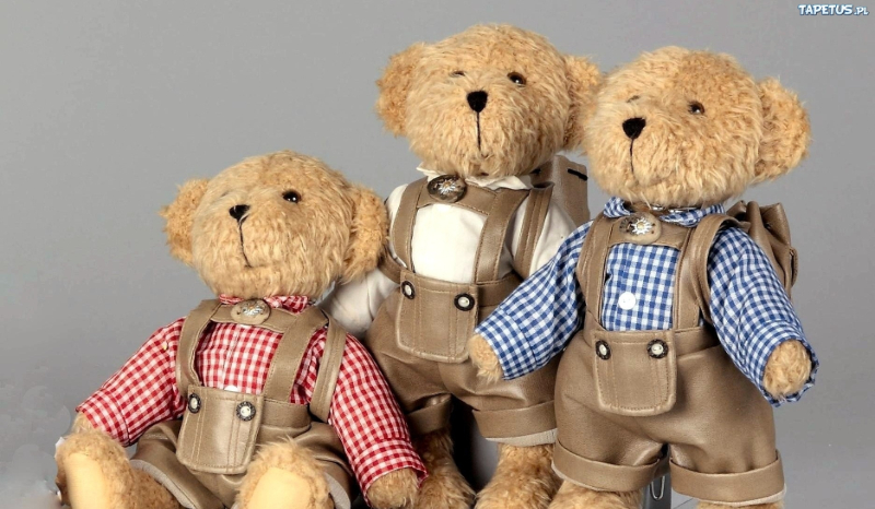 Jakim pluszowym misiem jesteś?