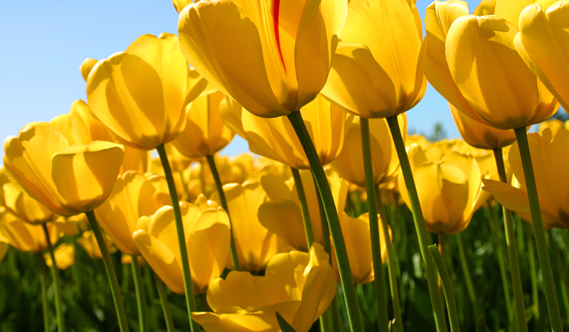 To nie jest typowy quiz