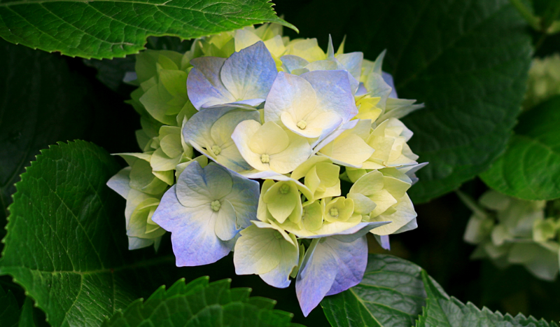 Czy zgadniemy twoją płeć?