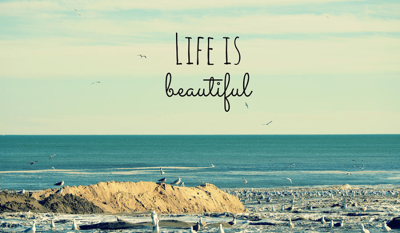 Life is beautiful #1
