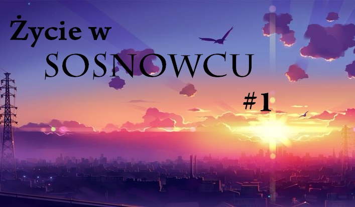 Życie w Sosnowcu #1 Nowe życie…