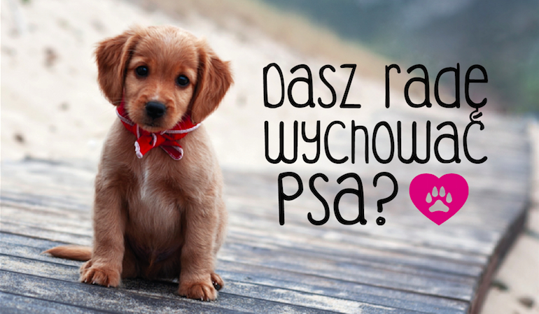 Czy dasz radę wychować psa?