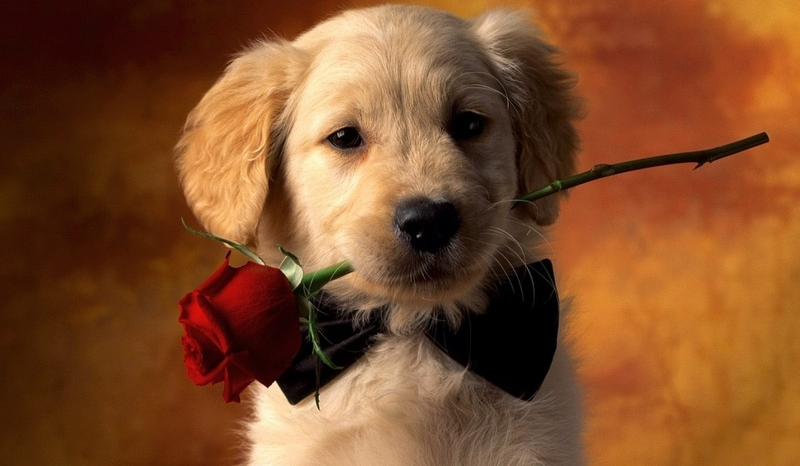 Tylko dla chłopców…