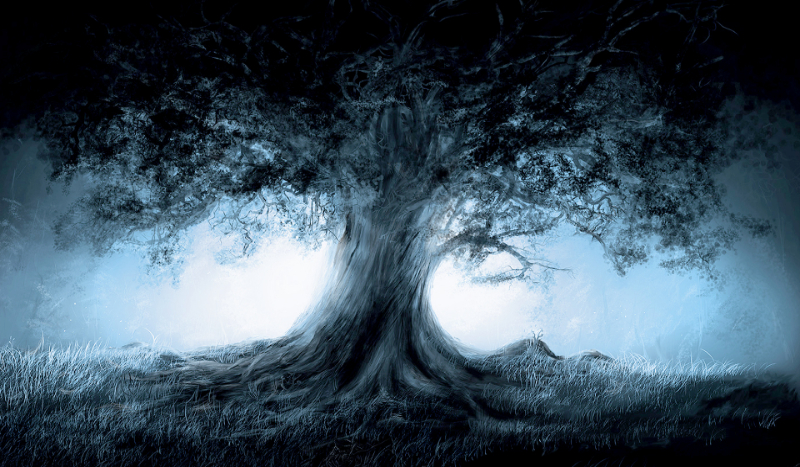 co sądzi o tobie Dawid