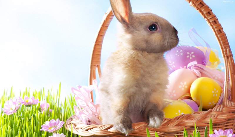 Czym dekorujemy wielkanocny koszyk?