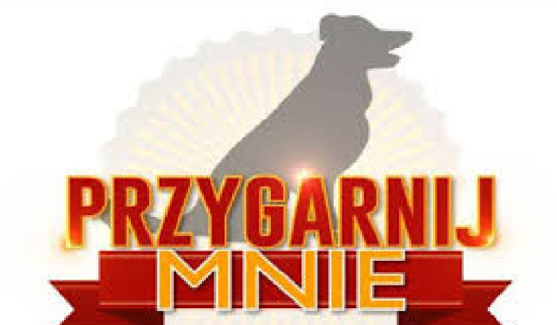 Quiz „Przygarnij Mnie” edycja 1