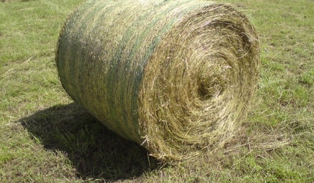 czy będziesz dobrym rolnikiem ?