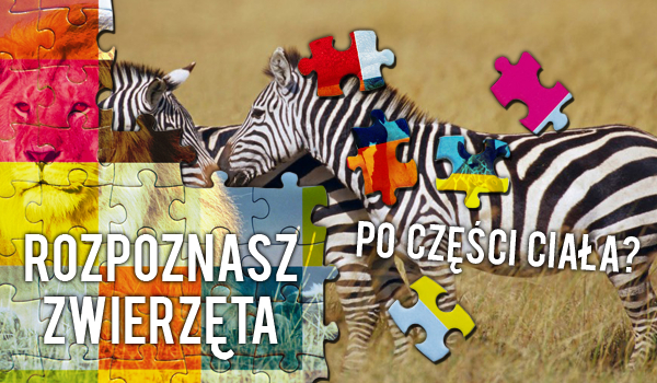Czy rozpoznasz zwierzęta na podstawie części ciała?