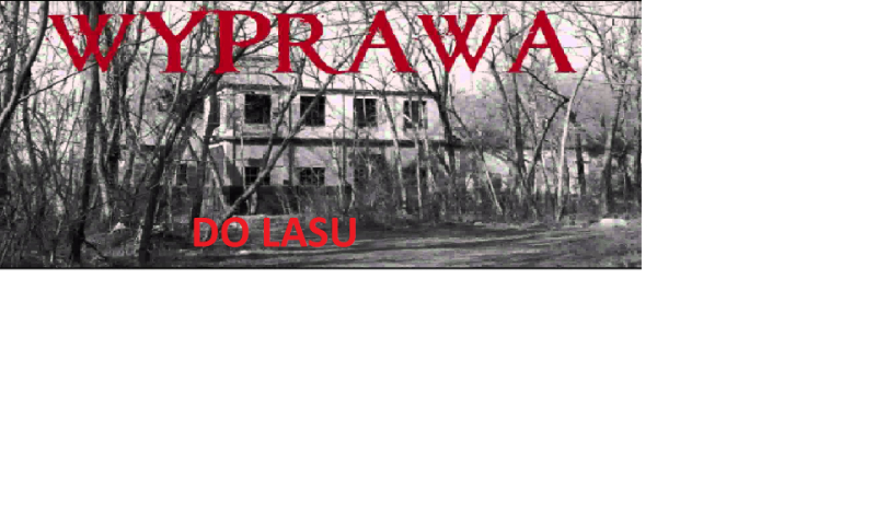 Wyprawa do lasu #1