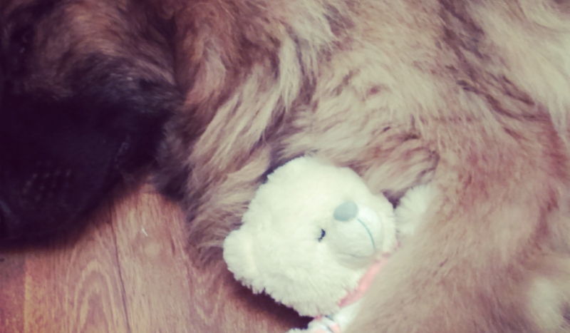 kak naprawde jesteś słodki