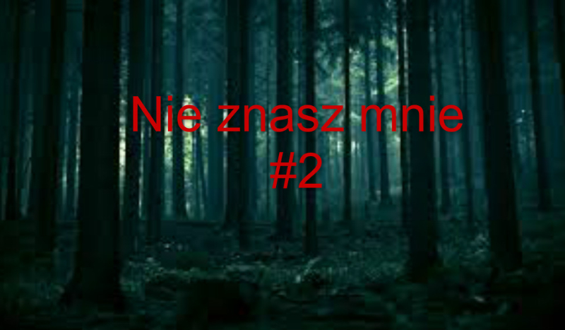 Nie znasz mnie #2