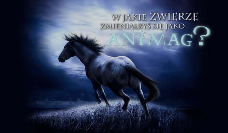W jakie zwierzę zmieniałbyś się jako Animag?