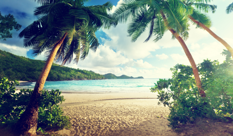 Wakacyjna przygoda #1