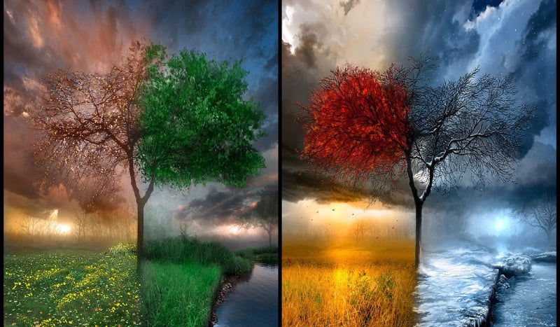 Jaką porą roku jesteś?