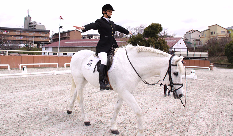 Ile wiesz o jeździectwie?
