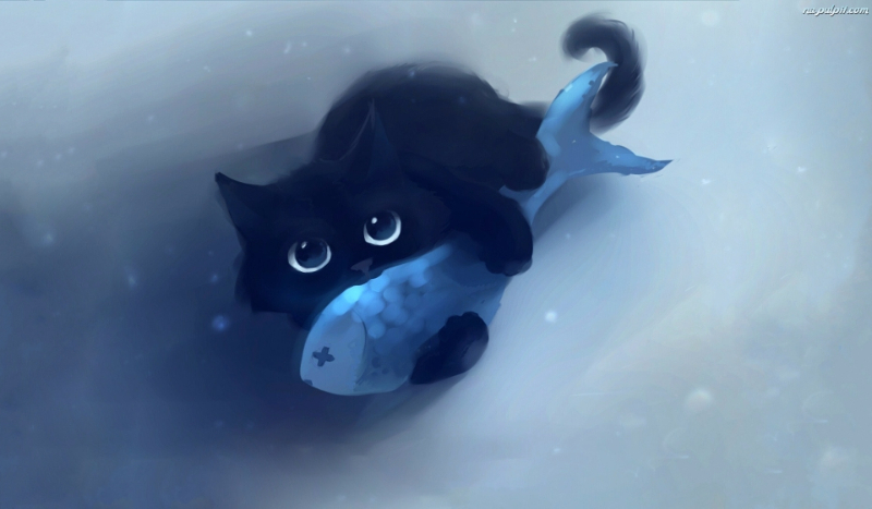 Jaki kot do ciebie pasuje?