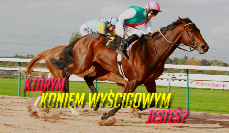 Którym koniem wyścigowym jesteś?
