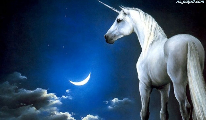 Jesteś wilkołakiem,  wampirem, jednorożcem czy pegazem.