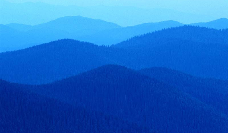 Czy przetrwasz psychiatryku