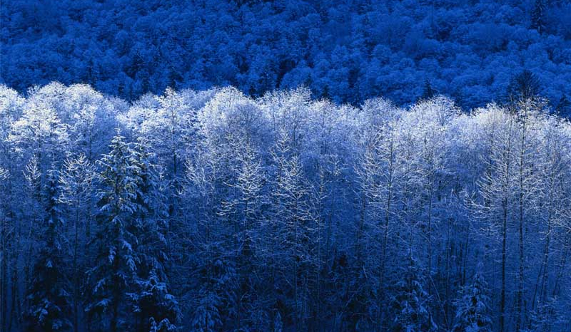 Czy w głębi duszy lubisz FC Barcelonę?