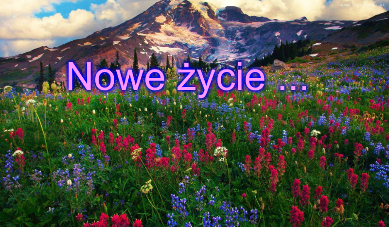 Nowe Życie #6